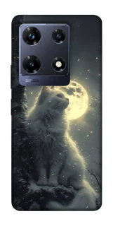 Чехол на Infinix Note 30 Pro Кот под луной фото 1 из 1