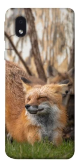 Чехол на Samsung Galaxy M01 Core / A01 Core Лиса фото 1 из 1