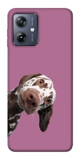 Чохол на Motorola Moto G54 А що тут фото 1 з 1