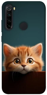 Чохол на Xiaomi Redmi Note 8 Чохол Кошеня фото 1 з 1