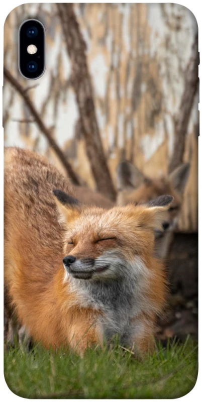 Чехол на Apple iPhone X (5.8") Лиса фото 1 из 1