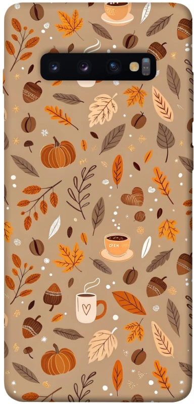 Чехол на Samsung Galaxy S10+ Autumn vibes ver.6 фото 1 из 1