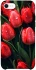 Чохол на Apple iPhone SE (2020) Червоні тюльпани фото 1 Чохол на Apple iPhone SE (2020) Червоні тюльпани фото 1 з 1