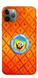 Чохол на Apple iPhone 11 Pro (5.8") Дім Спанч Боба фото 1 з 1