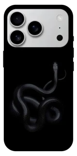 Чехол на Apple iPhone 17 Pro Max (6.9") Black snake фото 1 из 1