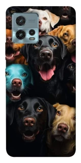 Чохол на Motorola Moto G72 Собаки фото 1 з 1