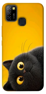 Чохол на Infinix Hot 10 Lite This is Cat фото 1 з 1