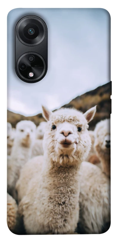 Чехол на Oppo A58 4G Лама фото 1 из 1