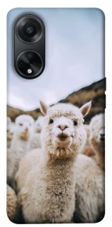 Чехол на Oppo A58 4G Лама фото 1 из 1