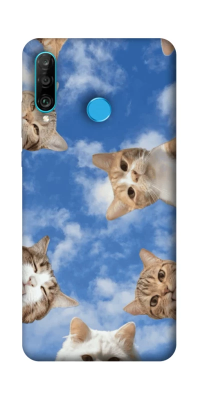 Чохол на Huawei P30 lite Сats фото 1 з 1