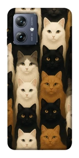 Чохол на Motorola Moto G54 Colorful Cat Collage фото 1 Чохол на Motorola Moto G54 Colorful Cat Collage фото 1 з 1