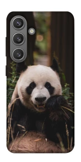 Чехол на Samsung Galaxy S24 Панда фото 1 из 1
