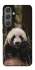 Чехол на Samsung Galaxy S24 Панда фото 1 из 1