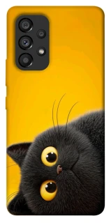 Чехол на Samsung Galaxy A53 5G This is Cat фото 1 из 1