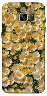 Чохол на Samsung G935F Galaxy S7 Edge Camomile фото 1 з 1