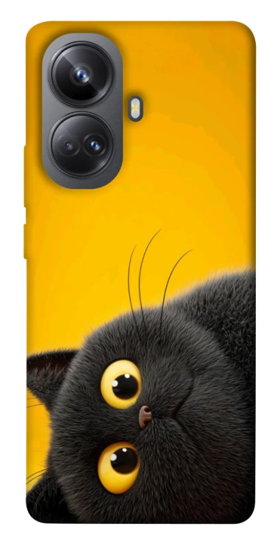 Чохол на Realme 10 Pro+ This is Cat фото 1 з 1