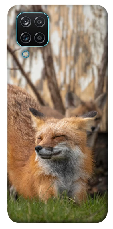 Чехол на Samsung Galaxy M12 Лиса фото 1 из 1