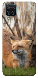 Чехол на Samsung Galaxy M12 Лиса фото 1 из 1