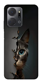 Чохол на Huawei Honor X7a Кіт-підглядач v2 фото 1 з 1