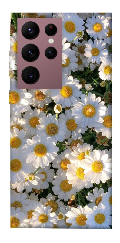 Чохол на Samsung Galaxy S22 Ultra Поле ромашок фото 1 з 1