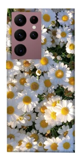 Чохол на Samsung Galaxy S22 Ultra Поле ромашок фото 1 з 1