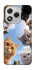 Чохол на Honor 400 Lite Cats фото 1 з 1