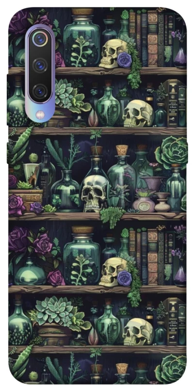 Чохол на Xiaomi Mi 9 Bookshelf ver.1 фото 1 з 1