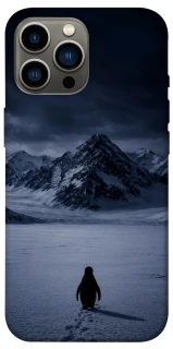 Чехол на Apple iPhone 13 Pro Max (6.7") But why? фото 1 из 1