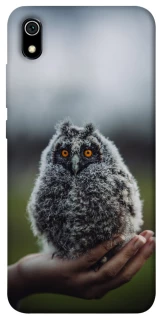 Чохол на Xiaomi Redmi 7A Совеня фото 1 з 1