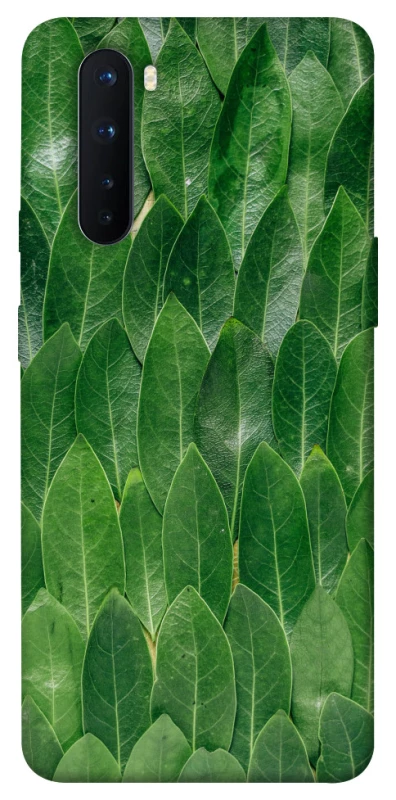 Чохол на OnePlus Nord Листя фото 1 з 1