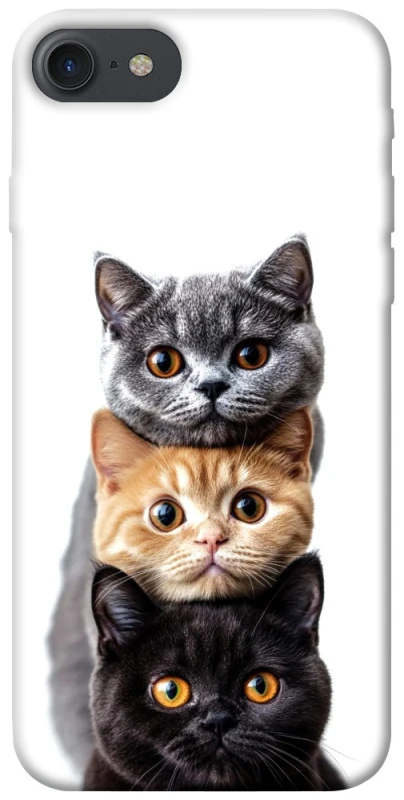 Чохол на Apple iPhone 7 / 8 (4.7") Гарні котики фото 1 з 1