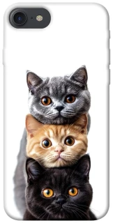 Чохол на Apple iPhone 7 / 8 (4.7") Гарні котики фото 1 з 1