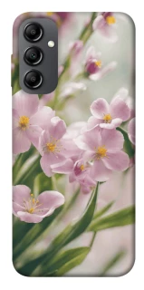 Чехол на Samsung Galaxy A14 4G/5G Spring фото 1 из 1