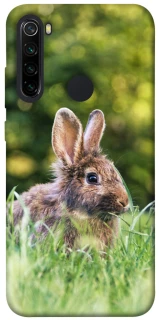 Чохол на Xiaomi Redmi Note 8 Кролики фото 1 з 1