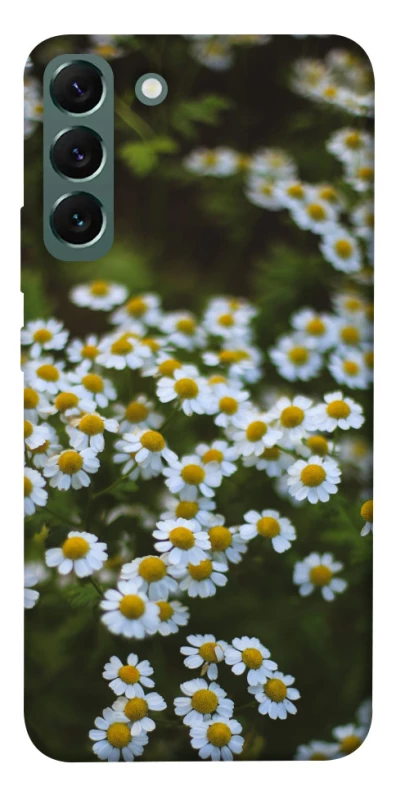 Чехол на Samsung Galaxy S22+ Ромашки v13 фото 1 из 1