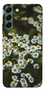 Чехол на Samsung Galaxy S22+ Ромашки v13 фото 1 из 1