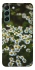 Чехол на Samsung Galaxy S22+ Ромашки v13 фото 1 из 1