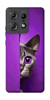 Чохол на Motorola Edge 50 Pro Кіт-підглядач фото 1 з 1