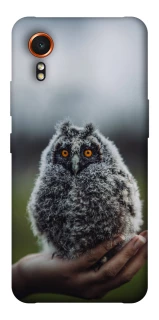 Чехол на Samsung Galaxy Xcover7 Совёнок фото 1 из 1