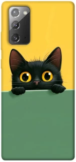 Чехол на Samsung Galaxy Note 20 Black cat v2 фото 1 из 1