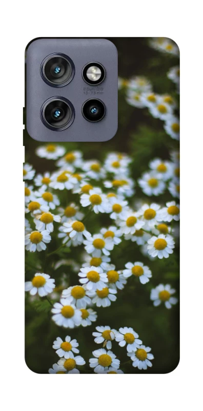 Чохол на Motorola Edge 50 Neo Ромашки v13 фото 1 з 1