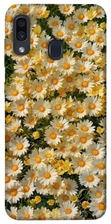 Чехол на Samsung Galaxy A20 / A30 Camomile фото 1 из 1