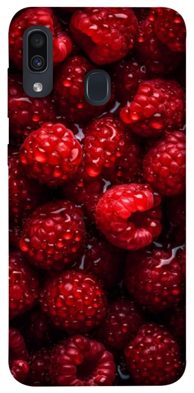 Чехол на Samsung Galaxy A20 / A30 Малинка фото 1 из 1