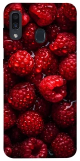 Чехол на Samsung Galaxy A20 / A30 Малинка фото 1 из 1