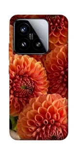 Чохол на Xiaomi 15 Flower1 фото 1 з 1