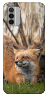 Чохол на Nokia G42 Лисиця фото 1 з 1