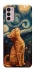 Чохол на Motorola Moto G42 van gogh cat фото 1 з 1