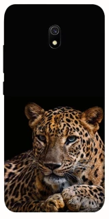 Чехол на Xiaomi Redmi 8a Leopard v4 фото 1 из 1