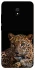 Чехол на Xiaomi Redmi 8a Leopard v4 фото 1 из 1