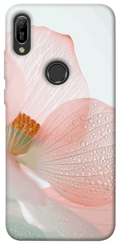 Чохол на Huawei Y6 (2019) Flowers zon фото 1 з 1